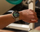 Компания Garmin выпустила пять обновлений v20.xx для модели Fenix 8 и ее аналогов, но не для Fenix 8 Pro. (Источник изображения: Garmin)
