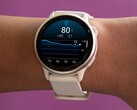 Смарт-часы vivoactive 6 от Garmin (на фото) получили функцию Health Status в бета-версии. (Источник изображения: Garmin)