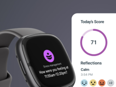 После 8 июля покупателям Fitbit придется пользоваться приложением Fitbit. (Источник изображения: Fitbit)