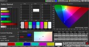 CalMAN Color Space sRGB – Адаптивный