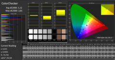 CalMAN: ColorChecker (после калибровки)