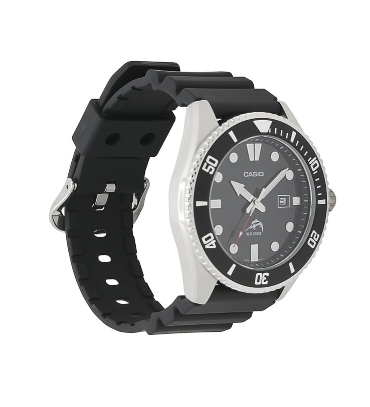 (Источник изображения: Casio)