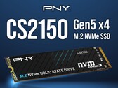 Модель CS2150. (Источник изображения: PNY)