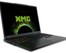 Поколенческий скачок между мобильной RTX 4080 и мобильной RTX 5080 - это то, чего мы ожидаем, без каких-либо функций повышения качества DLSS (Источник изображения: Schenker)