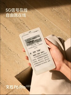Boox P6 Pro с черно-белым экраном. (Источник изображения: Boox)