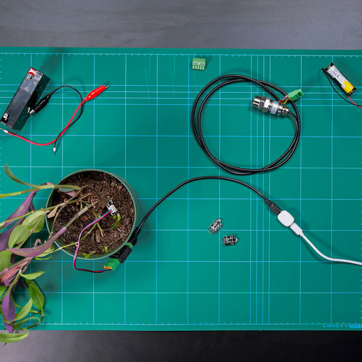 The Pill by Shelly. (Источник изображения: Shelly)