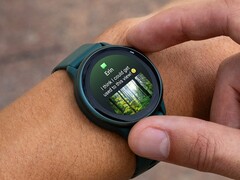 Смарт-часы Garmin vivoactive 6 (на фото), похоже, получат новое обновление. (Источник изображения: Garmin)