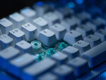 Кольцо SAPP, установленное на коммутаторе.