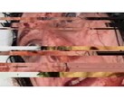 Скриншот из игры ужасов VILE: Exhumed, изображающий поставленное на паузу и глючащее VHS-видео с женщиной. (Источник изображения: DreadXP/Final Girl Games)