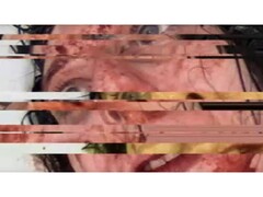 Скриншот из игры ужасов VILE: Exhumed, изображающий поставленное на паузу и глючащее VHS-видео с женщиной. (Источник изображения: DreadXP/Final Girl Games)