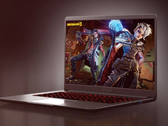 Серия AMD Ryzen 4000 H предназначена для тонких и легких ноутбуков. (Источник: AMD)