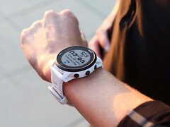 Смарт-часы Garmin Forerunner 945 LTE (на фото) получили новое обновление. (Источник изображения: Garmin)