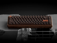 Начало продаж беспроводной игровой клавиатуры Keychron K2 HE All Wood Special Edition