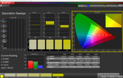 Насыщенность CalMAN (профиль: sRGB)