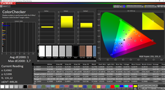 CalMAN ColorChecker (после калибровки, DCI-P3)