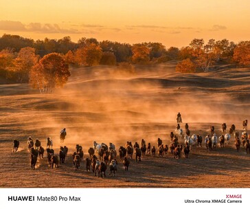 (Источник изображения: Huawei)