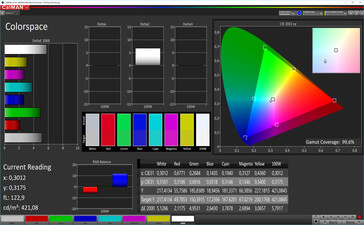 CalMAN: Colour Space - автоматический контраст, стандартная цветовая температура, DCI P3