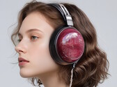 В наушниках FiiO FT13 используются деревянные амбушюры из фиолетового сердца с динамиками из березовой древесины. (Источник изображения: FiiO)