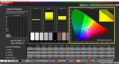 CalMAN ColorChecker (DCI-P3)