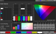 Цветовое пространство (профиль: Original Pro, целевое цветовое пространство: sRGB)