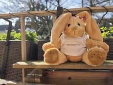 Снимок в исходном качестве