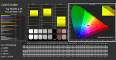 Calman ColorChecker: DCI-P3 color space