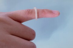 3D-печатное кольцо для отпугивания насекомых, разработанное в Университете Мартина Лютера Галле-Виттенберг (Источник изображения: Uni Halle / Fanfan Du)