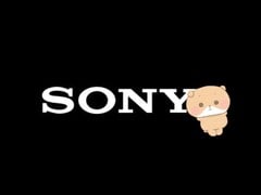 Бессонный медведь Нему призван помочь компании Sony создать успешный на международном уровне бренд персонажа.