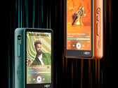Карманный цифровой аудиоплеер HiBy R3Pro II поддерживает воспроизведение музыки без потерь на балансных наушниках с помощью двойных ЦАПов и четырехканальных усилителей. (Источник изображения: HiBy)