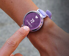 Garmin редко выпускает новые обновления для модели Lily 2. (Источник изображения: Garmin)