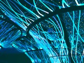 Волоконно-оптические кабели также можно использовать для создания произведений искусства. (Источник изображения: Pexels/Georgie Devlin)