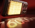 Модель WP300. (Источник изображения: Oukitel)