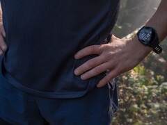 Компания Garmin выпустила версию программного обеспечения 20.29 для модели Forerunner 255. (Источник изображения: Garmin)