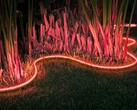 Philips Hue снимет с производства такие умные светильники, как Outdoor Lightstrip (на фото). (Источник изображения: Philips Hue)