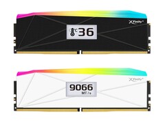 Черный и белый варианты модулей XFinity+ с OLED-экранами. (Источник изображения: V-color)