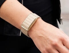 Polar Loop теперь доступен с целым рядом новых браслетов.