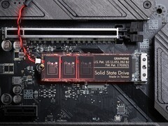 Твердотельный накопитель TeamGroup P250Q-M80 M.2 PCIe 4.0. (Источник изображения: TeamGroup)