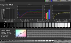 Шкалы серого (профиль: Original Pro, целевое цветовое пространство: sRGB)