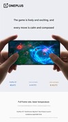 (Источник изображения: OnePlus)