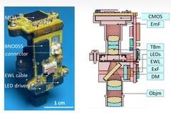 Фотография и профиль поперечного сечения Miniscope extra Large FOV (MiniXL). Источник изображения: UCLA через Science Advances; обрезано