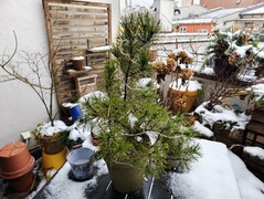 Снимок в исходном качестве