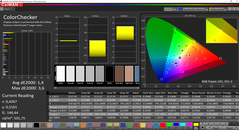 CalMAN ColorChecker (после калибровки)