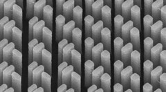 Найдено “лекарство” от хроматической аберрации (Изображение: Гарвардский университет)