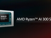 Возможно, для процессоров высшего класса серии Ryzen AI 300 будет использоваться другая схема наименования (Источник изображения: AMD - отредактировано)