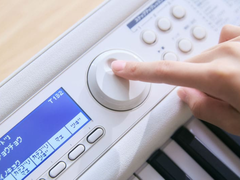 Клавиатура Casio LK-550WE