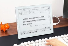 Новейший e-ink монитор от Dasung может достигать частоты обновления 60 Гц. (Источник изображения: Dasung)