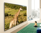 Рекламное изображение телевизора LG QNED84B.