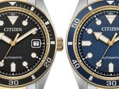 Citizen two tone