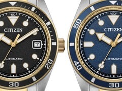 Citizen two tone