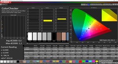 CalMAN ColorChecker (после калибровки, DCI-P3)